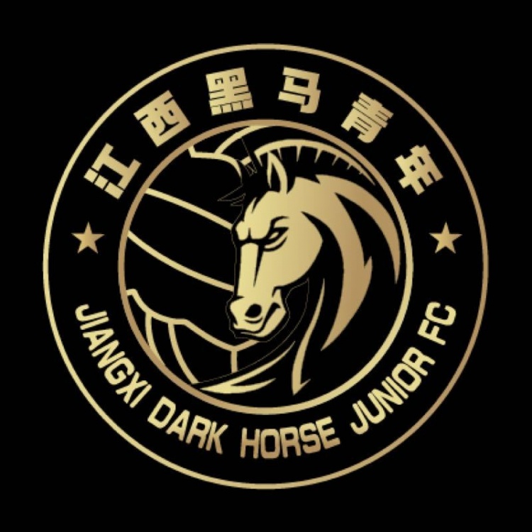  官方：江西黑馬青年完成異地遷移程序，更名為溫州職業(yè)足球俱樂(lè)部