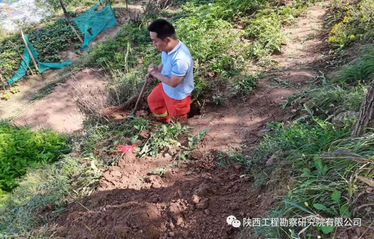 619dfdcdb4754.jpg 640.webp.jpg