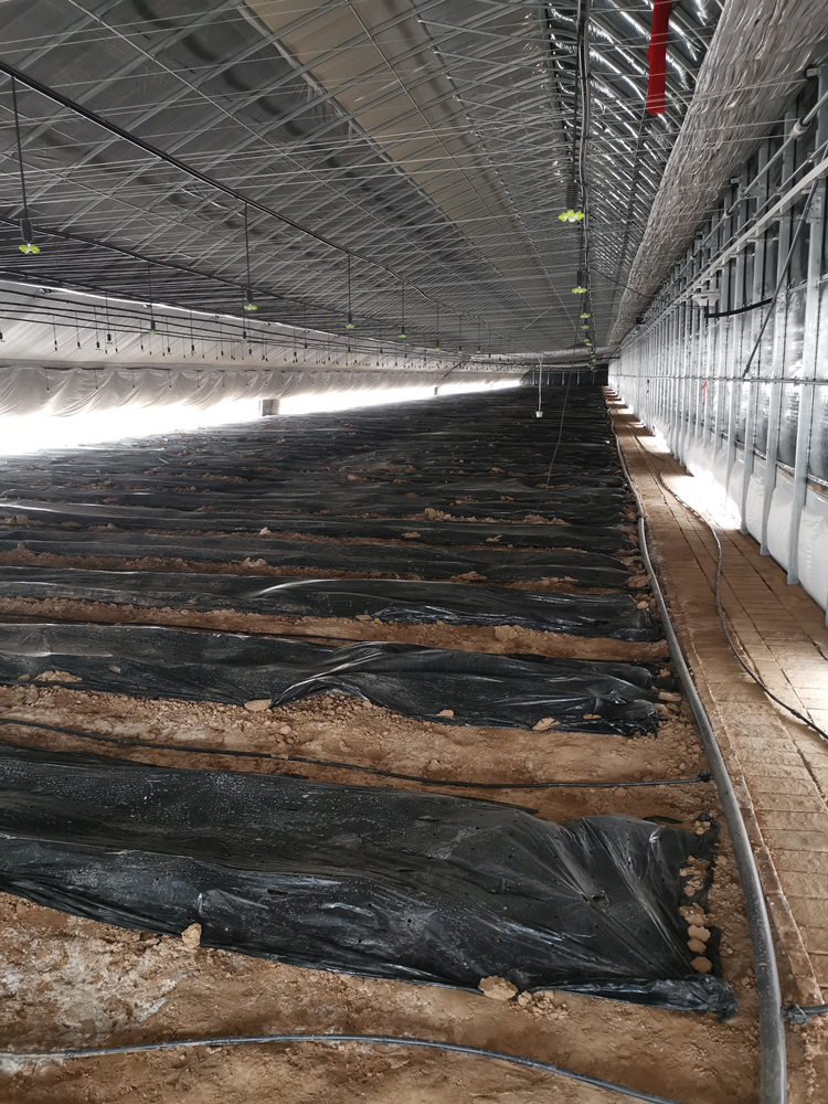 625e581cc583e.jpg 微信圖片_20220413155750.jpg